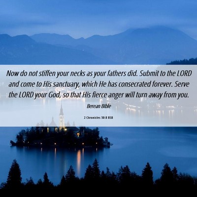 Picture 06 - 2 Chronicles 30:8 BSB - Now do not stiffen your necks as your fathers - Bible Verse Picture