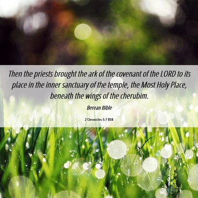 Picture 06 - 2 Chronicles 5:7 BSB - Then the priests brought the ark of the covenant - Bible Verse Picture