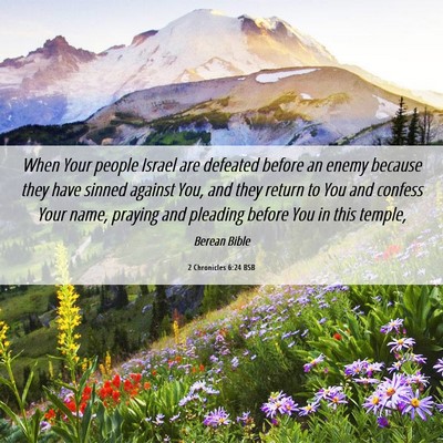 Picture 06 - 2 Chronicles 6:24 BSB - When Your people Israel are defeated before an - Bible Verse Picture