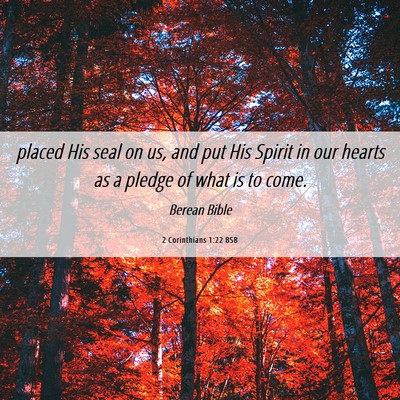 Picture 06 - 2 Corinthians 1:22 BSB - placed His seal on us, and put His Spirit in our - Bible Verse Picture