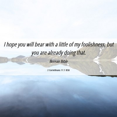Picture 06 - 2 Corinthians 11:1 BSB - I hope you will bear with a little of my - Bible Verse Picture