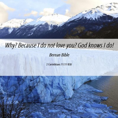 Picture 06 - 2 Corinthians 11:11 BSB - Why? Because I do not love you? God knows I - Bible Verse Picture