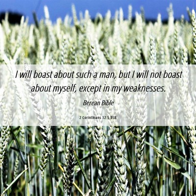 Picture 06 - 2 Corinthians 12:5 BSB - I will boast about such a man, but I will not - Bible Verse Picture