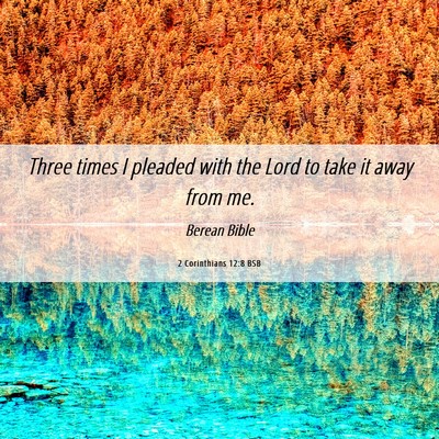 Picture 06 - 2 Corinthians 12:8 BSB - Three times I pleaded with the Lord to take it - Bible Verse Picture