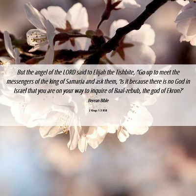 Picture 06 - 2 Kings 1:3 BSB - But the angel of the LORD said to Elijah the - Bible Verse Picture