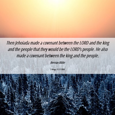 Picture 06 - 2 Kings 11:17 BSB - Then Jehoiada made a covenant between the LORD - Bible Verse Picture