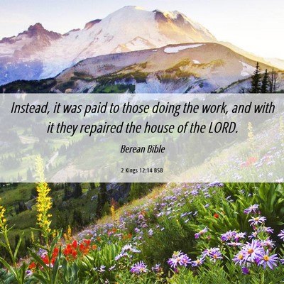 Picture 06 - 2 Kings 12:14 BSB - Instead, it was paid to those doing the work, and - Bible Verse Picture