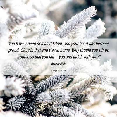 Picture 06 - 2 Kings 14:10 BSB - You have indeed defeated Edom, and your heart has - Bible Verse Picture
