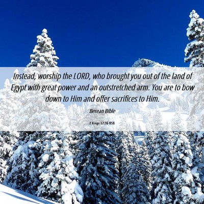 Picture 06 - 2 Kings 17:36 BSB - Instead, worship the LORD, who brought you out of - Bible Verse Picture