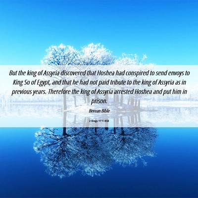 Picture 06 - 2 Kings 17:4 BSB - But the king of Assyria discovered that Hoshea - Bible Verse Picture