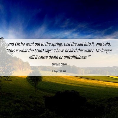 Picture 06 - 2 Kings 2:21 BSB - and Elisha went out to the spring, cast the salt - Bible Verse Picture