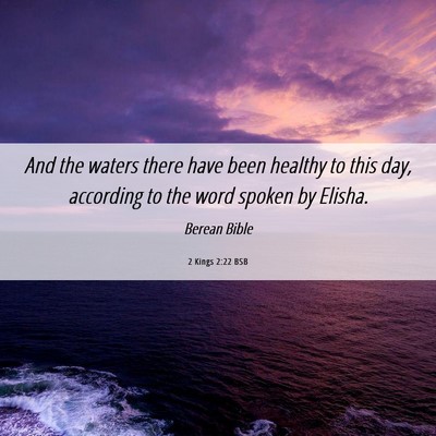 Picture 06 - 2 Kings 2:22 BSB - And the waters there have been healthy to this - Bible Verse Picture