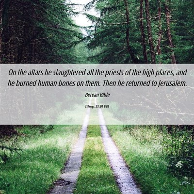 Picture 06 - 2 Kings 23:20 BSB - On the altars he slaughtered all the priests of - Bible Verse Picture