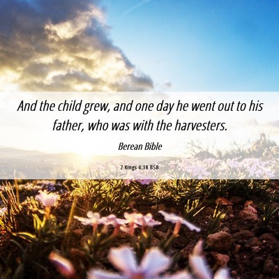 Picture 06 - 2 Kings 4:18 BSB - And the child grew, and one day he went out to - Bible Verse Picture