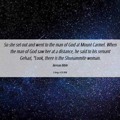 Picture 06 - 2 Kings 4:25 BSB - So she set out and went to the man of God at - Bible Verse Picture