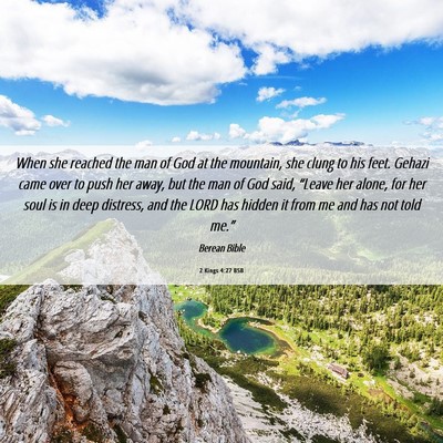 Picture 06 - 2 Kings 4:27 BSB - When she reached the man of God at the mountain, - Bible Verse Picture