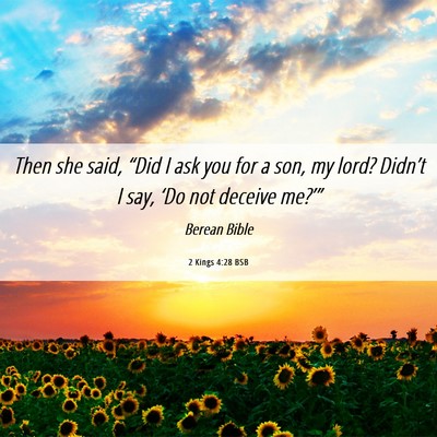 Picture 06 - 2 Kings 4:28 BSB - Then she said, “Did I ask you for a son, my - Bible Verse Picture