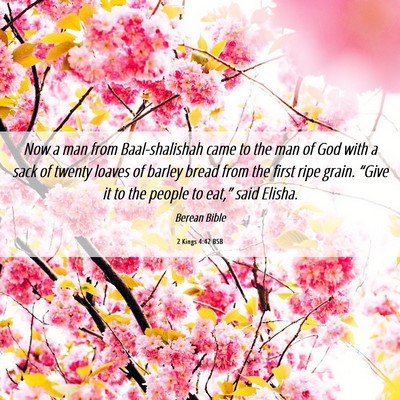 Picture 06 - 2 Kings 4:42 BSB - Now a man from Baal-shalishah came to the man of - Bible Verse Picture