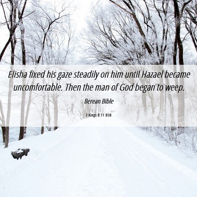 Picture 06 - 2 Kings 8:11 BSB - Elisha fixed his gaze steadily on him until - Bible Verse Picture