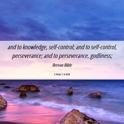 Picture 06 - 2 Peter 1:6 BSB - and to knowledge, self-control; and to - Bible Verse Picture