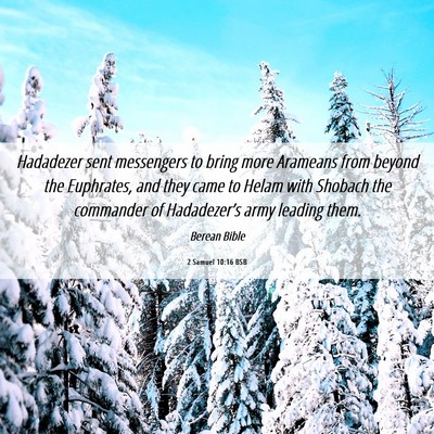 Picture 06 - 2 Samuel 10:16 BSB - Hadadezer sent messengers to bring more Arameans - Bible Verse Picture