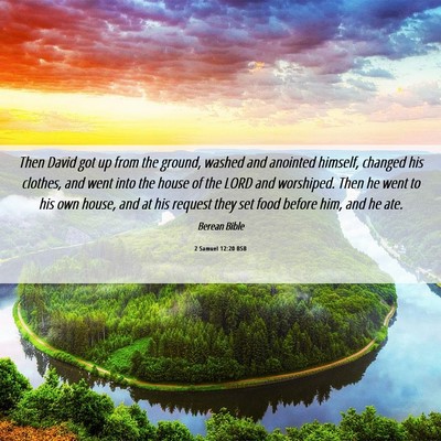 Picture 06 - 2 Samuel 12:20 BSB - Then David got up from the ground, washed and - Bible Verse Picture