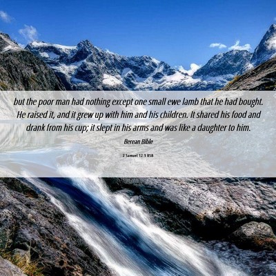 Picture 06 - 2 Samuel 12:3 BSB - but the poor man had nothing except one small ewe - Bible Verse Picture