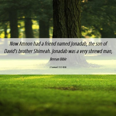 Picture 06 - 2 Samuel 13:3 BSB - Now Amnon had a friend named Jonadab, the son of - Bible Verse Picture