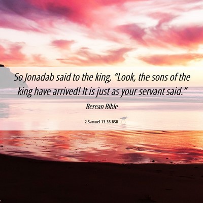 Picture 06 - 2 Samuel 13:35 BSB - So Jonadab said to the king, “Look, the sons of - Bible Verse Picture