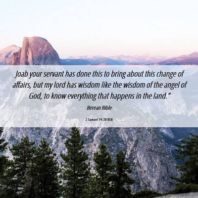 Picture 06 - 2 Samuel 14:20 BSB - Joab your servant has done this to bring about - Bible Verse Picture