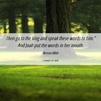 Picture 06 - 2 Samuel 14:3 BSB - Then go to the king and speak these words to - Bible Verse Picture