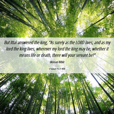Picture 06 - 2 Samuel 15:21 BSB - But Ittai answered the king, “As surely as the - Bible Verse Picture