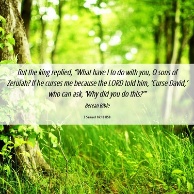 Picture 06 - 2 Samuel 16:10 BSB - But the king replied, “What have I to do with - Bible Verse Picture