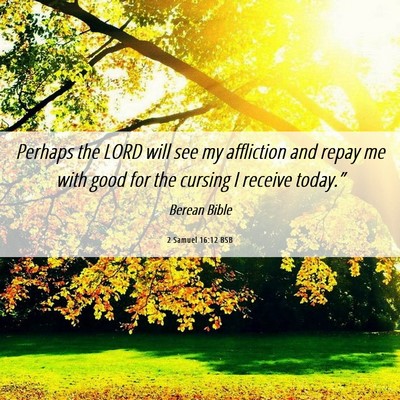 Picture 06 - 2 Samuel 16:12 BSB - Perhaps the LORD will see my affliction and repay - Bible Verse Picture