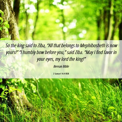 Picture 06 - 2 Samuel 16:4 BSB - So the king said to Ziba, “All that belongs to - Bible Verse Picture