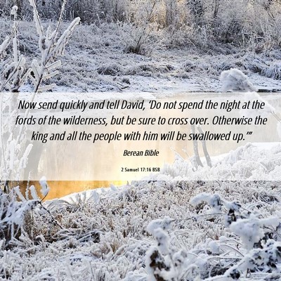 Picture 06 - 2 Samuel 17:16 BSB - Now send quickly and tell David, ‘Do not spend - Bible Verse Picture