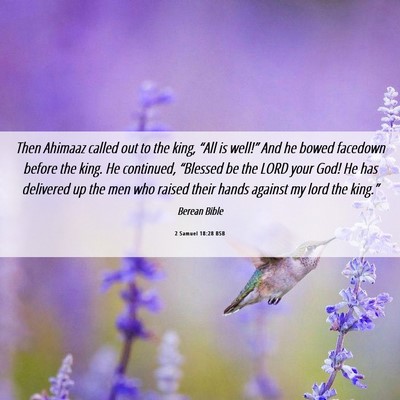 Picture 06 - 2 Samuel 18:28 BSB - Then Ahimaaz called out to the king, “All is - Bible Verse Picture