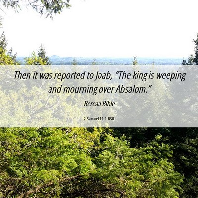 Picture 06 - 2 Samuel 19:1 BSB - Then it was reported to Joab, “The king is - Bible Verse Picture