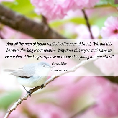 Picture 06 - 2 Samuel 19:42 BSB - And all the men of Judah replied to the men of - Bible Verse Picture