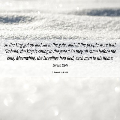 Picture 06 - 2 Samuel 19:8 BSB - So the king got up and sat in the gate, and all - Bible Verse Picture