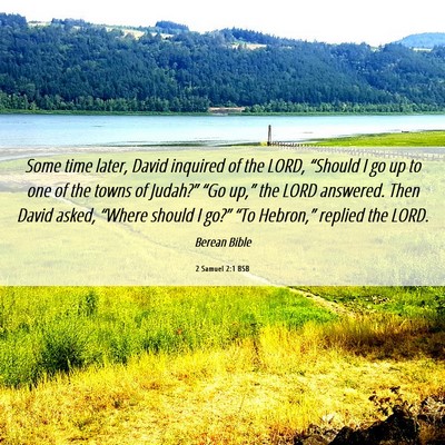 Picture 06 - 2 Samuel 2:1 BSB - Some time later, David inquired of the LORD, - Bible Verse Picture