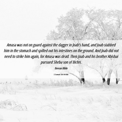 Picture 06 - 2 Samuel 20:10 BSB - Amasa was not on guard against the dagger in - Bible Verse Picture
