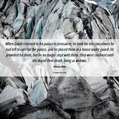 Picture 06 - 2 Samuel 20:3 BSB - When David returned to his palace in Jerusalem, - Bible Verse Picture