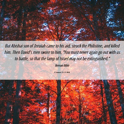 Picture 06 - 2 Samuel 21:17 BSB - But Abishai son of Zeruiah came to his aid, - Bible Verse Picture