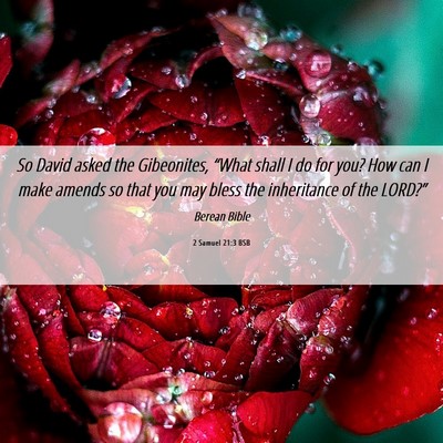 Picture 06 - 2 Samuel 21:3 BSB - So David asked the Gibeonites, “What shall I do - Bible Verse Picture