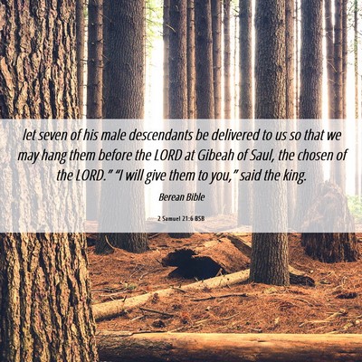 Picture 06 - 2 Samuel 21:6 BSB - let seven of his male descendants be delivered to - Bible Verse Picture
