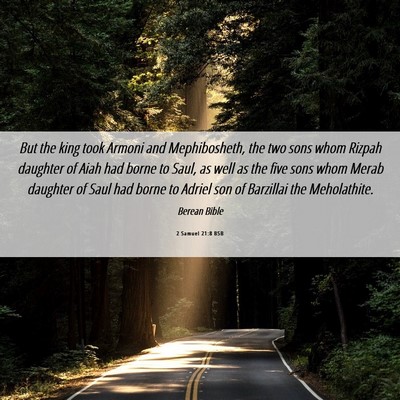 Picture 06 - 2 Samuel 21:8 BSB - But the king took Armoni and Mephibosheth, the - Bible Verse Picture