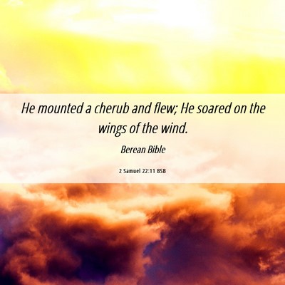 Picture 06 - 2 Samuel 22:11 BSB - He mounted a cherub and flew; He soared on the - Bible Verse Picture