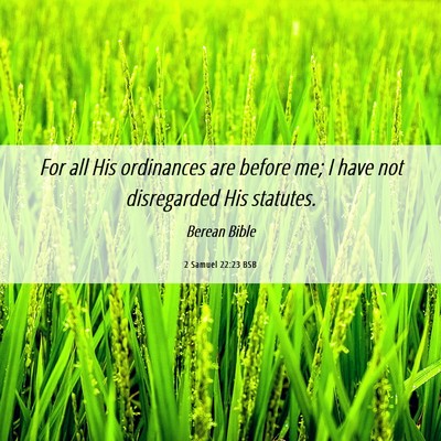 Picture 06 - 2 Samuel 22:23 BSB - For all His ordinances are before me; I have not - Bible Verse Picture