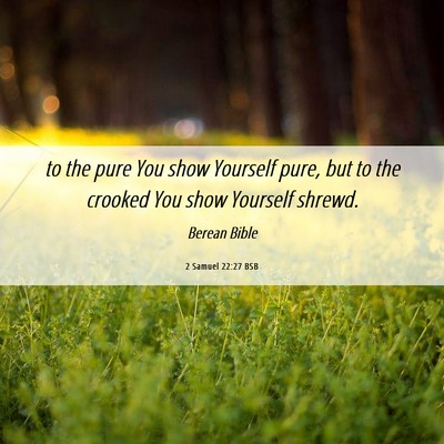Picture 06 - 2 Samuel 22:27 BSB - to the pure You show Yourself pure, but to the - Bible Verse Picture